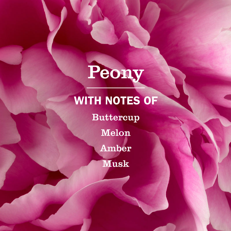 Peony Plug In Scented Oil Refill 2-Pack
