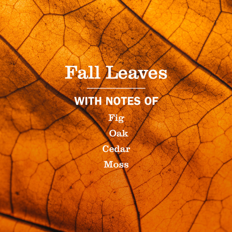 Mrs. Meyer's Fall Leaves Dish Soap