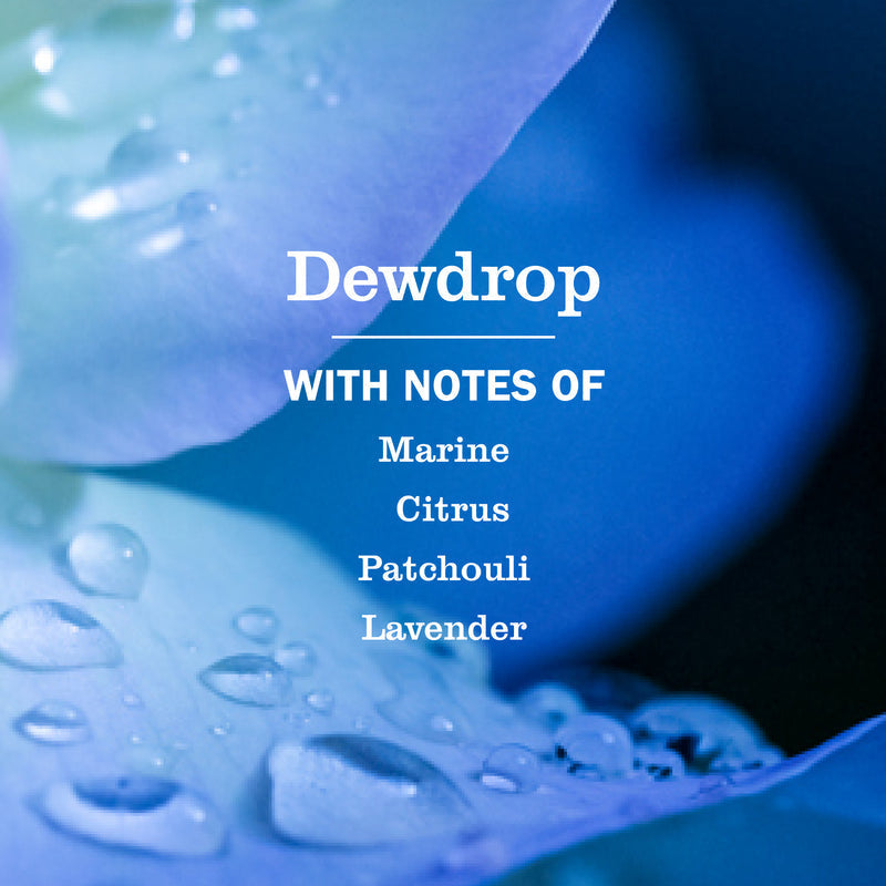 Dewdrop Liquid Hand Soap 3-count Bundle