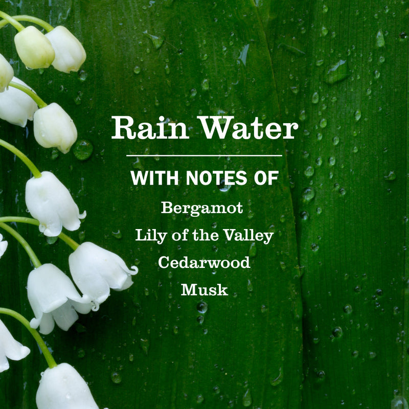 Rain Water Plug In Scented Oil Refill 4-Pack