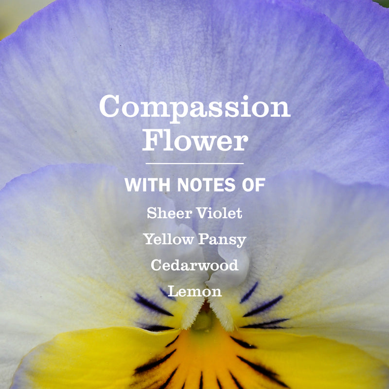 Compassion Flower Dish Soap | Mrs. Meyer's
