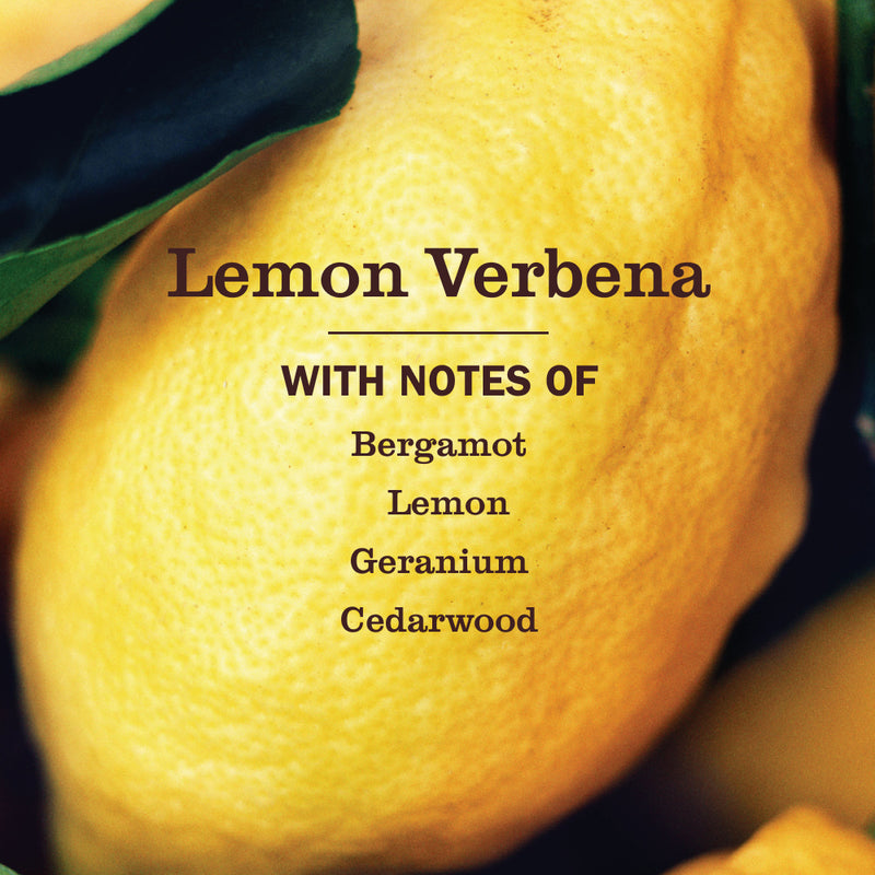 Mrs. Meyer's Lemon Verbena Probiotic Daily Shower Spray