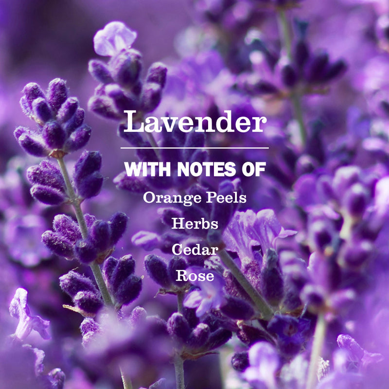 Mrs. Meyer's Lavender Laundry Detergent